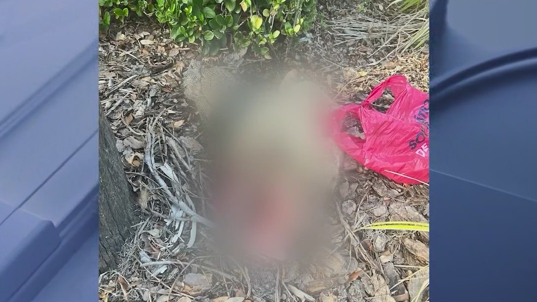 Mutilated animals left at pregnancy center